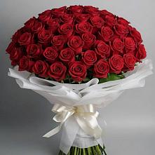 Букет 101 Красная роза Блэк Мэджик в Никитовке