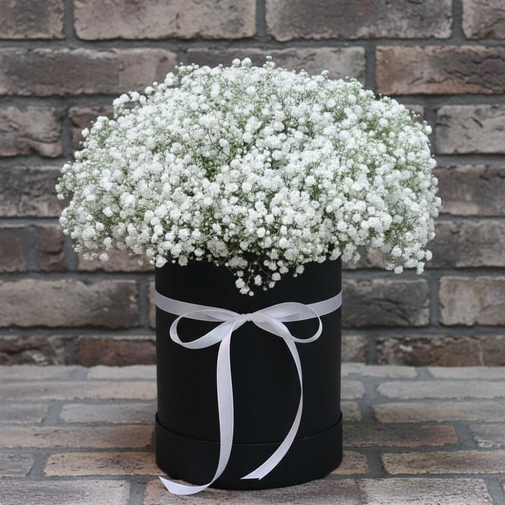 Цветочная композиция из Гипсофила в шляпной коробке в Никитовке