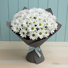 Букет цветов из:  Хризантемы в Никитовке