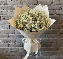 Букет цветов из:  Ромашки #REPLACE_PRED# Никитовке