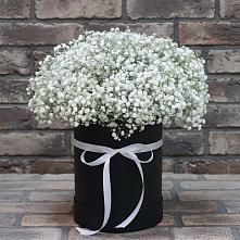 Цветочная композиция из Гипсофила в шляпной коробке #REPLACE_PRED# Никитовке