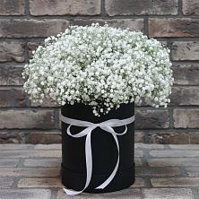 Цветочная композиция из Гипсофила в шляпной коробке в Никитовке