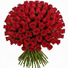 Букет Красные розы Чери Лав в Никитовке