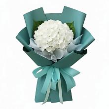 Букет цветов из:  Гортензия в Никитовке